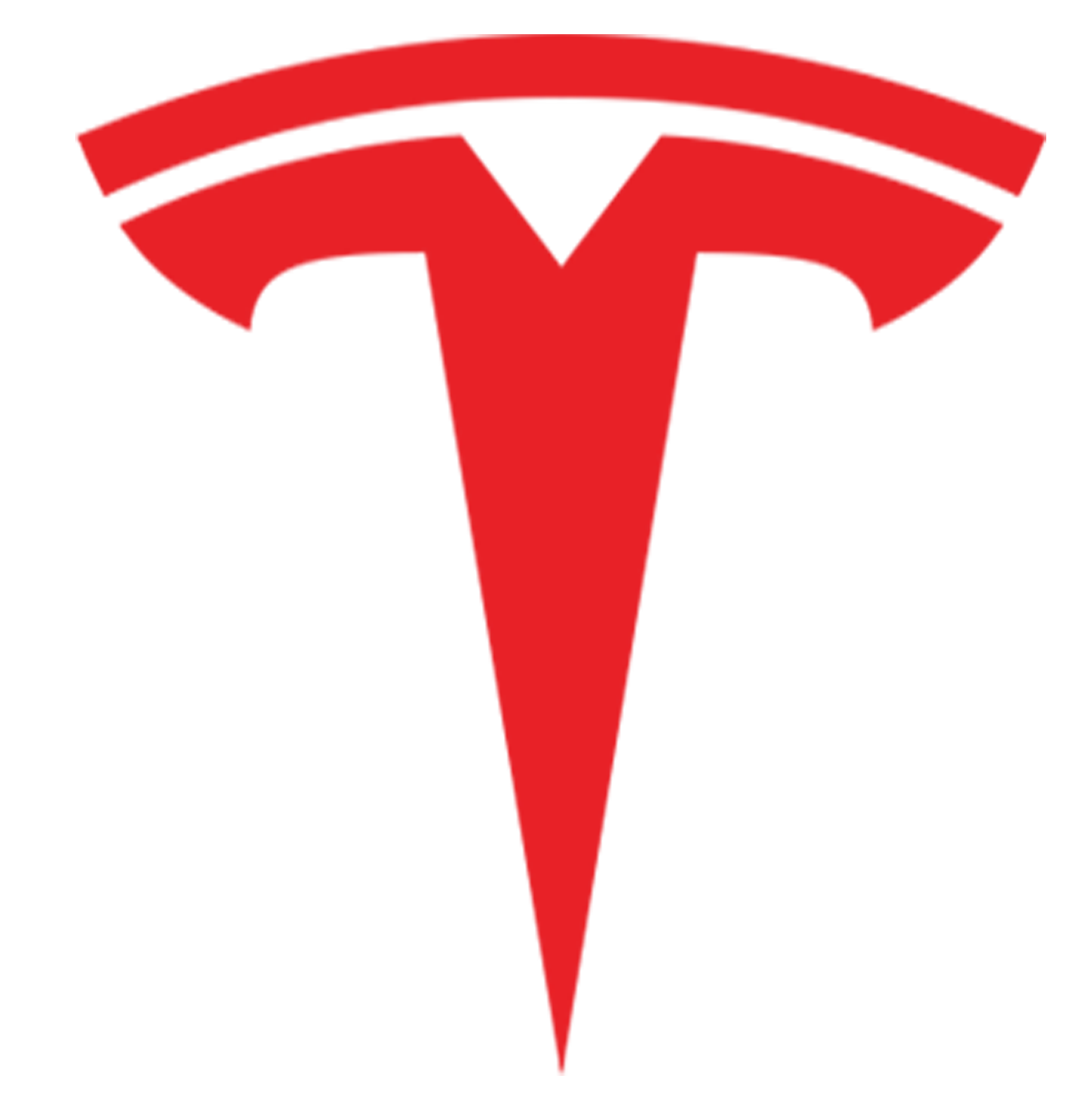 Tesla Invest Pro